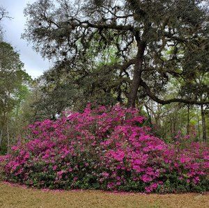 Meet your Posher, Sonya